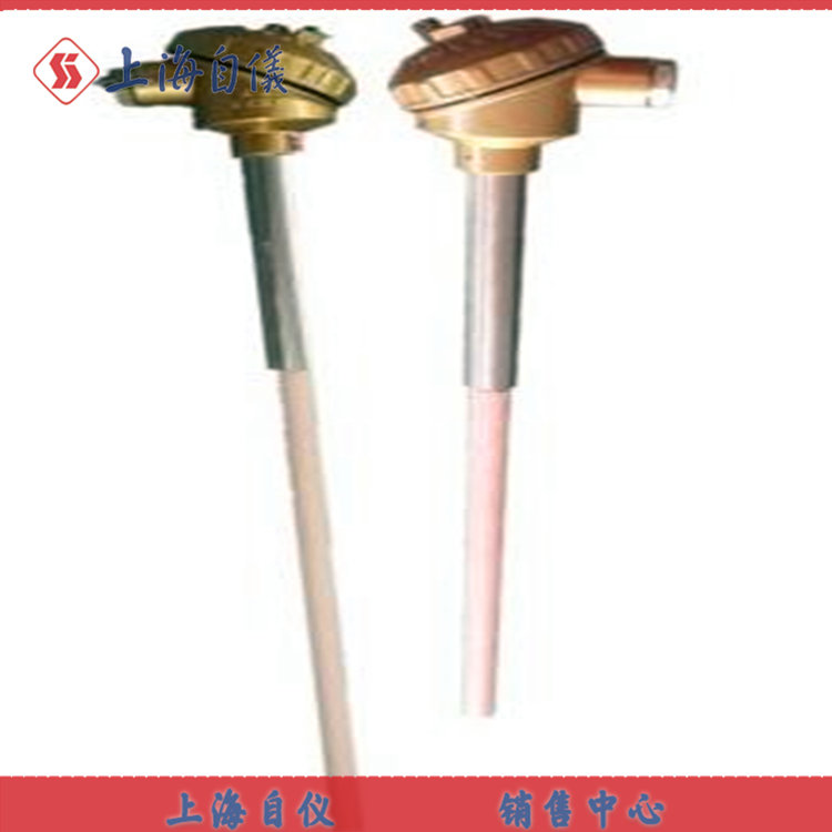 测温热电偶的维护、检修、投运的具体技术要求及其安全注意事项和实施步骤