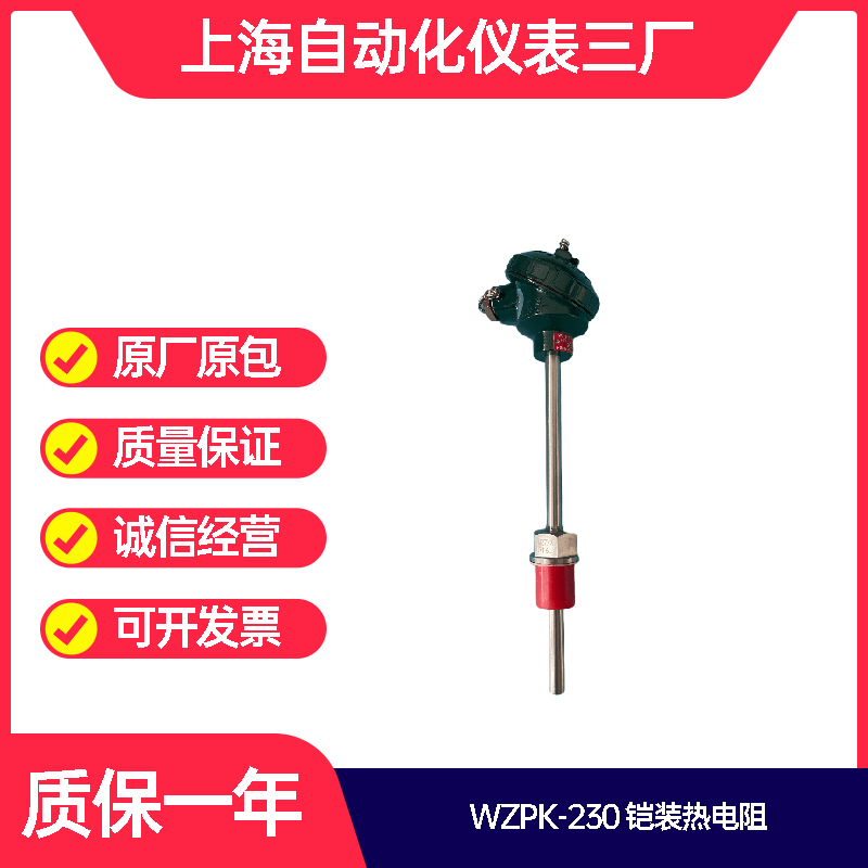 WZPK-333S铠装铂电阻PT100 -200-500℃